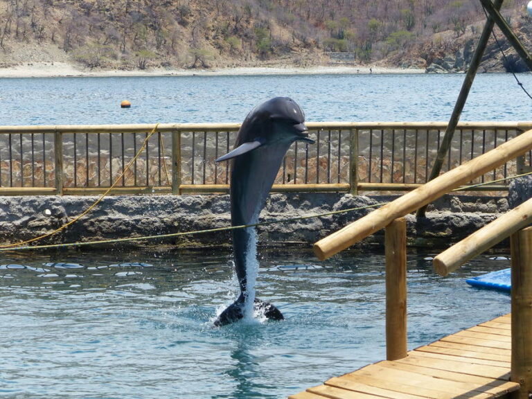 acuarioymuseodelmar059